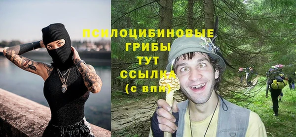 ПСИЛОЦИБИНОВЫЕ ГРИБЫ Киреевск