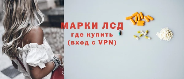 стаф Козловка