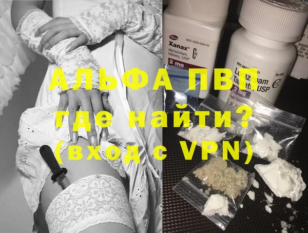 стаф Козловка