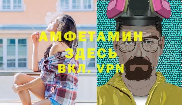 стаф Козловка