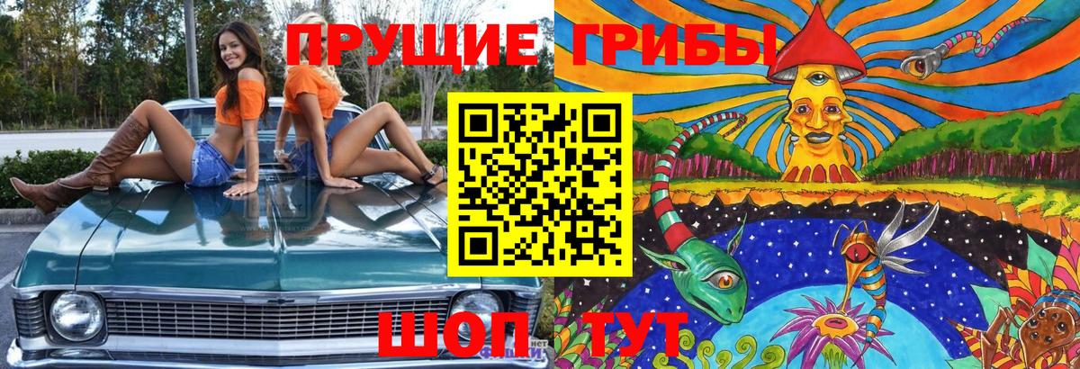 Псилоцибиновые грибы GOLDEN TEACHER  Псилоцибиновые грибы GOLDEN TEACHER  Когалым  Вход с VPN 